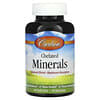 Chelated Minerals, 90 мягких таблеток