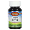 Chelated Iron, 27 mg, 100 Tablets