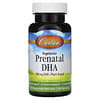Vegetarian Prenatal DHA, 500 mg, 60 Vegetarian Soft Gels