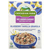 Granola, Blueberry Vanilla, 15.2 oz (430 g)