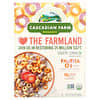 Cereal orgánico de Fruitful O's, 289 g (10,2 oz)