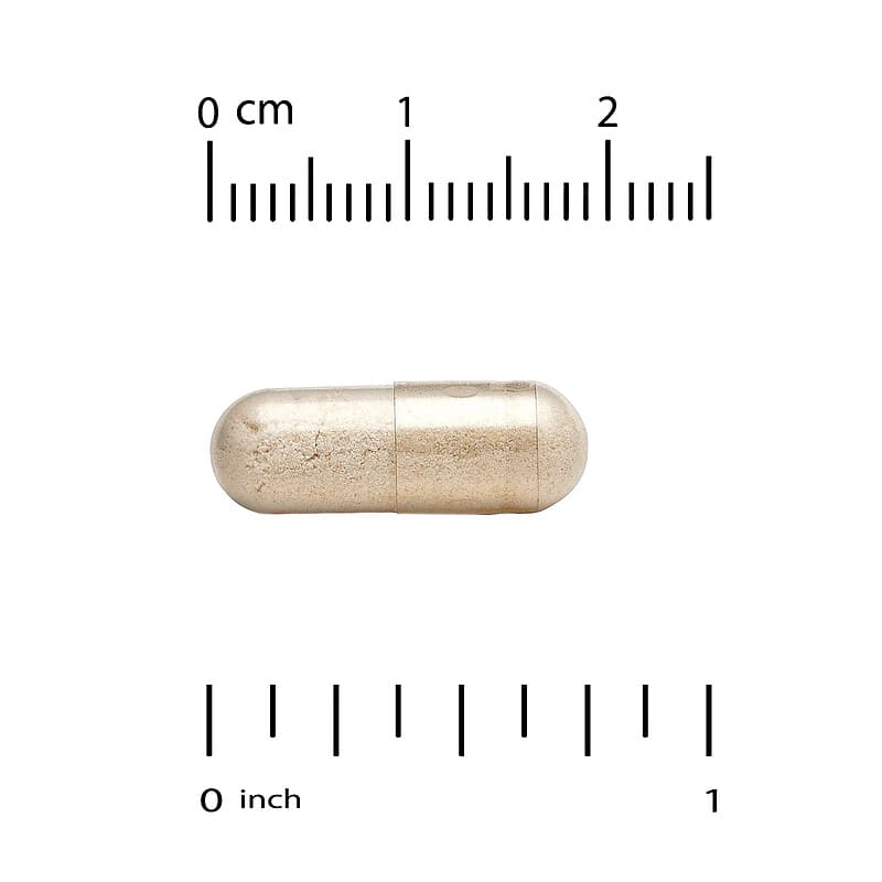 California Gold Nutrition, LactoBif  30 Probiotics, 30 Billion CFU