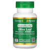 Olive Leaf Extract, EuroHerbs, European Quality, 500 mg, 60 Veggie Capsules
