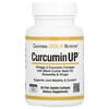 CurcuminUP, комплекс с омега-3 и куркумином, для подвижности и комфорта в работе суставов, 30 капсул из рыбьего желатина