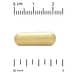 California Gold Nutrition, Boswellia Extract, Turmeric Curcumin Complex with Turmeric Extract and Turmeric Powder, 120 Veggie Capsules - Image 3