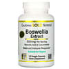Boswellia Extract, Plus Turmeric Extract, 250 mg, 120 Veggie Capsules