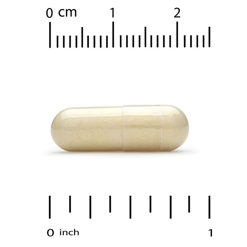 Alpha Lipoic Acid, 600 mg, 120 Veg Capsules