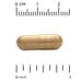 California Gold Nutrition, Silymarin Complex, 360 Veggie Capsules - Image 3