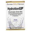 HydrationUP, Electrolyte Drink Mix, Grape, 20 Packets, 0.17 oz (4.7 g) Each