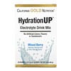 HydrationUP, смесь для приготовления электролитического напитка, ягодный микс, 20 пакетиков, 4,7 г (0,17 унции) в каждом