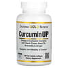 Curcumin UP, Nahrungsergänzungsmittel mit Kurkumin, 90 Weichkapseln aus Fischgelatine