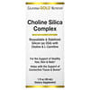 Choline Silica Complex, Cholin-Silica-Komplex, bioverfügbares und stabilisiertes Silicium (als OSA) zur Unterstützung der Kollagenproduktion, 30 ml (1 fl. oz.)
