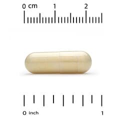 California Gold Nutrition, Extrait d'écorce de pin maritime français, Oligopin, Polyphénol antioxydant, 100 mg, 180 capsules végétariennes