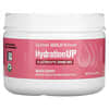 HydrationUP, Electrolyte Drink Mix, Mixed Berry, 8 oz (227 g)