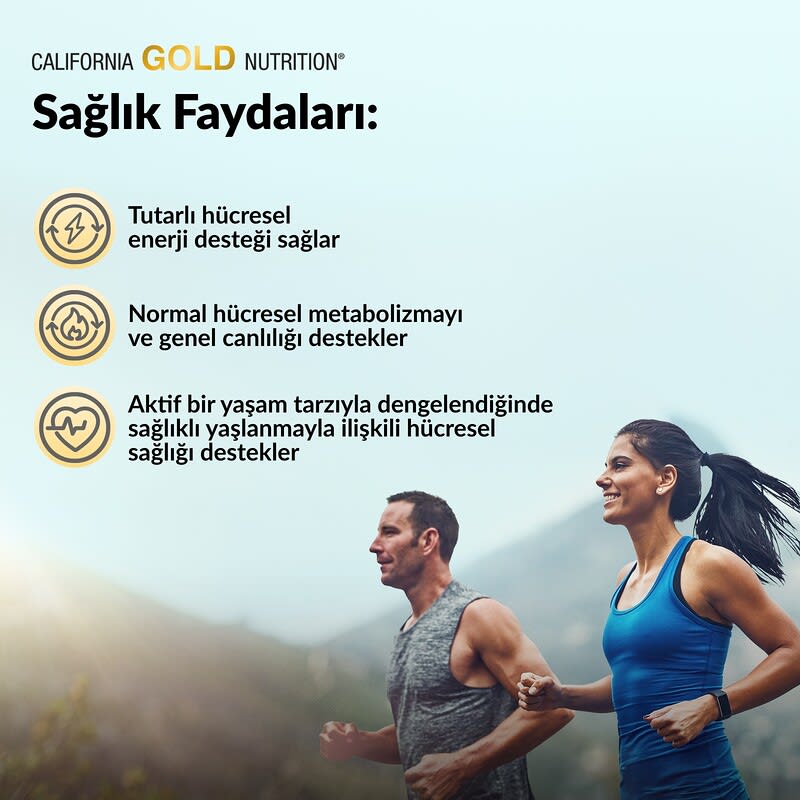 Apigenin ve Dihidroquercetin ile NMN Flavonoid Kompleksi, 60