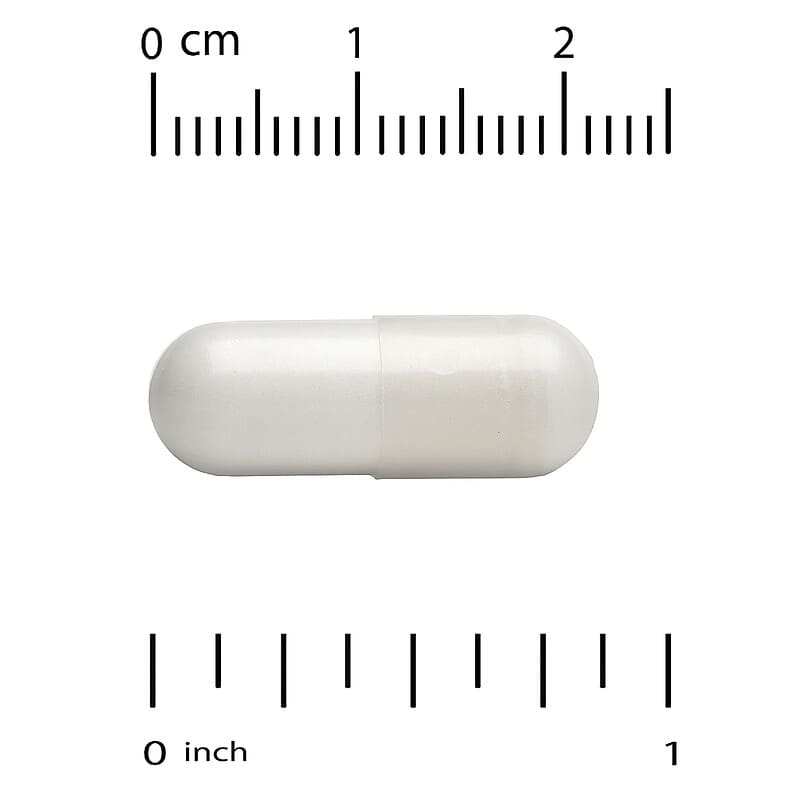Rexdrive Amino with L-Arginine HCl, L-Citrulline, Acetyl-L-Carnitine  Arginate DiHydrochloride, and Glycine