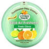 固体空气清新剂，清新柑橘，20盎司（566克）