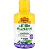 Liquid Calcium Magnesium, Blueberry, 16 fl oz (472 ml)