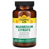 Magnesium Citrate, 125 mg, 120 Tablets