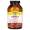 أقراص Acerola القابلة للمضغ، فيتامين ج مركب، التوت، 500 ملجم، 90 قرص