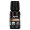Cliganic, 100% Pure Essential Oil, Cinnamon Oil, 0.33 fl oz (10 ml)