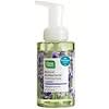 Natural Antibacterial Foaming Soap, Lavender, 9.5 fl oz (280 ml)