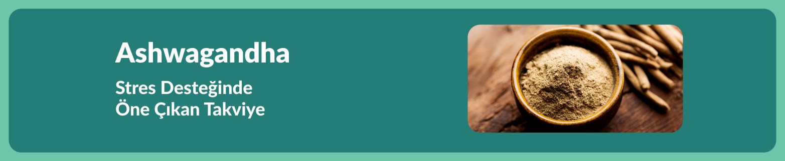 Stres desteğinde öne çıkantakviye olarak tanıtılan ashwagandha ile birlikte ahşap yüzeyde toz kök dolu bir kase bulunan banner.