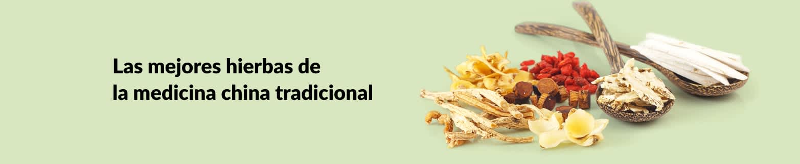 Más información sobre hierbas medicinales 