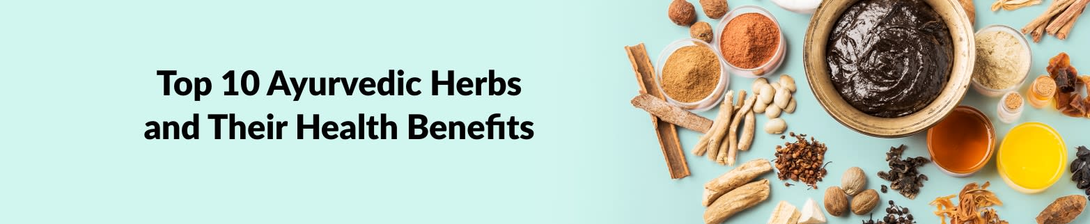 LEARN MORE TOP 10 AYURVEDIC HERBS