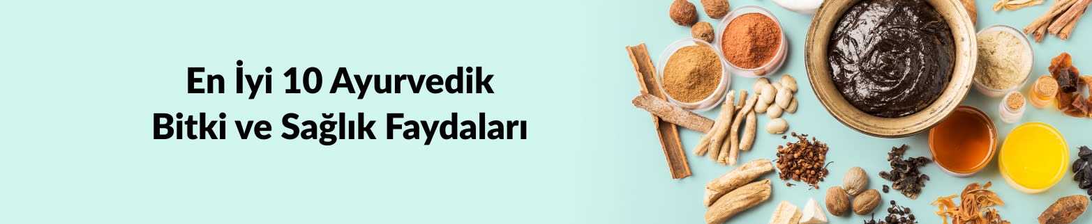 EN İYİ 10 AYURVEDİK BİTKİ HK