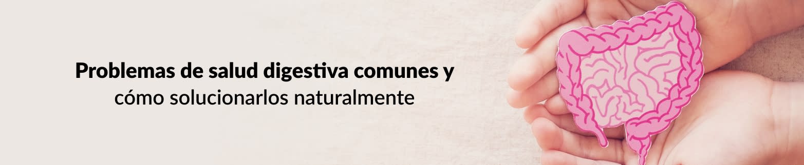 MÁS INFORMACIÓN SOBRE PROBLEMAS DIGESTIVOS COMUNES