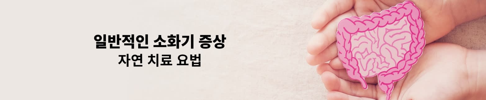 일반적인 소화기 증상 자세히 알아보기