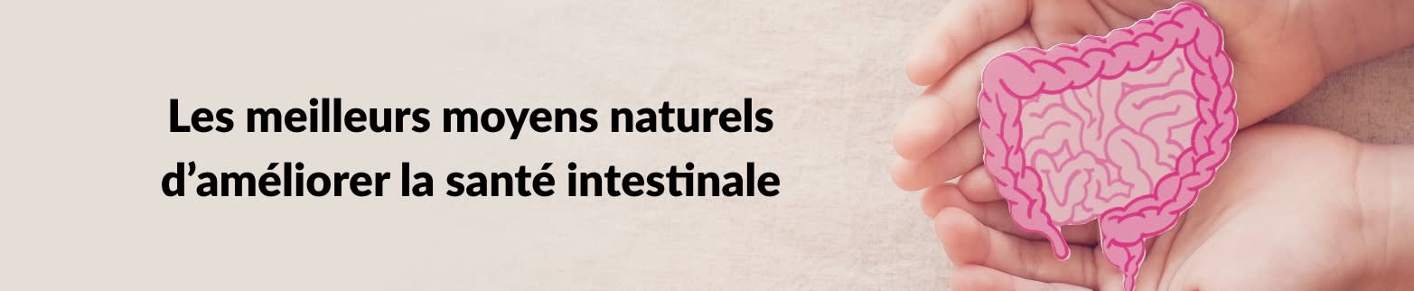 EN SAVOIR PLUS COMMENT AMÉLIORER LA SANTÉ INTESTINALE