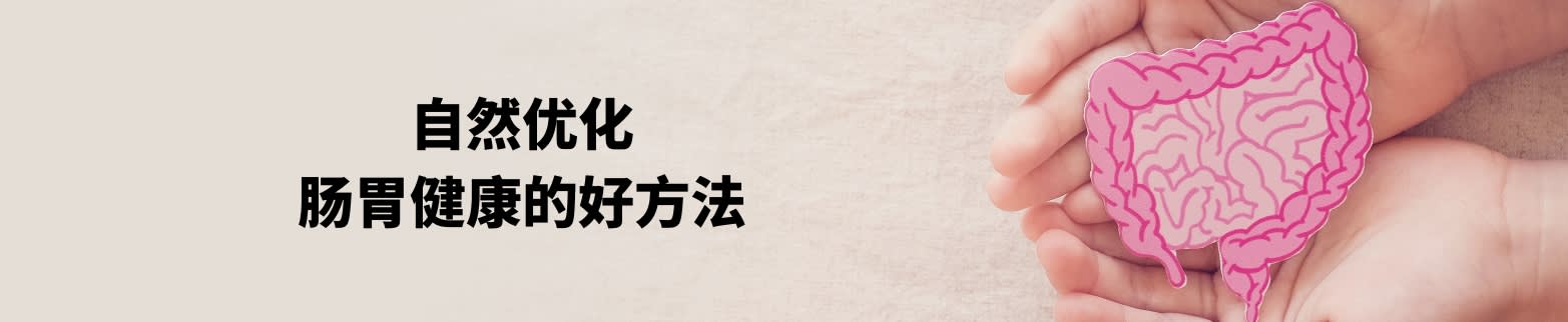 了解更多关于优化肠胃健康