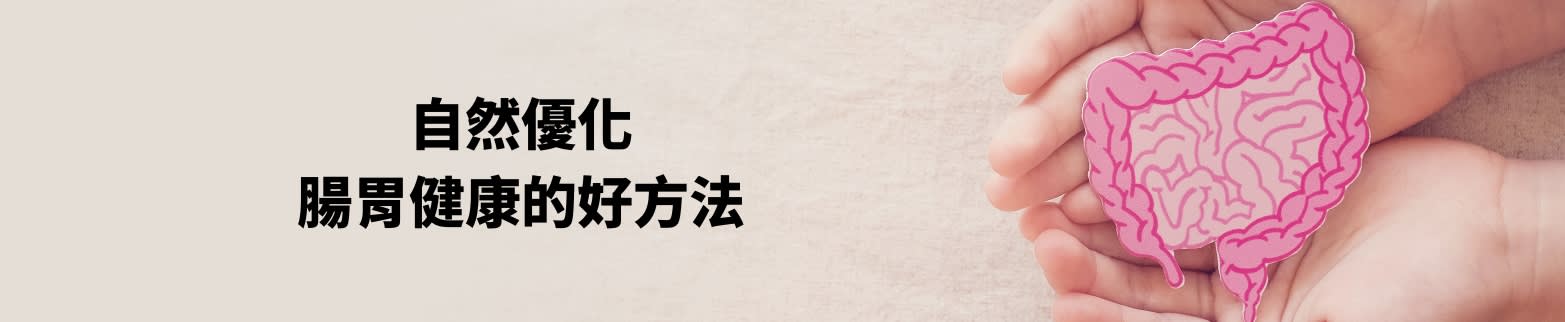 了解更多關於優化腸胃健康