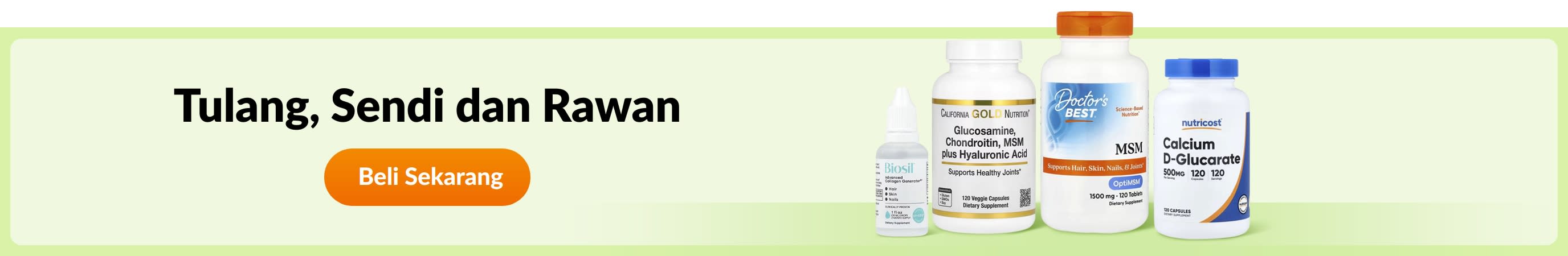 Tulang, Sendi dan Rawan