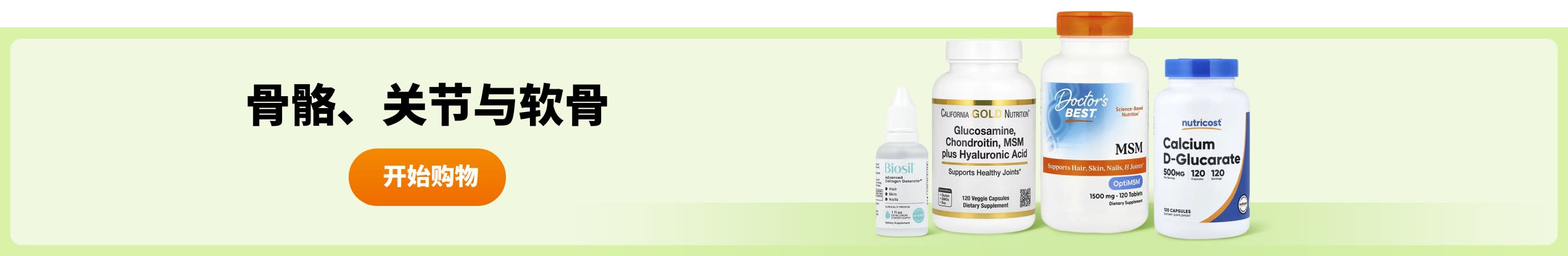 骨骼、关节与软骨