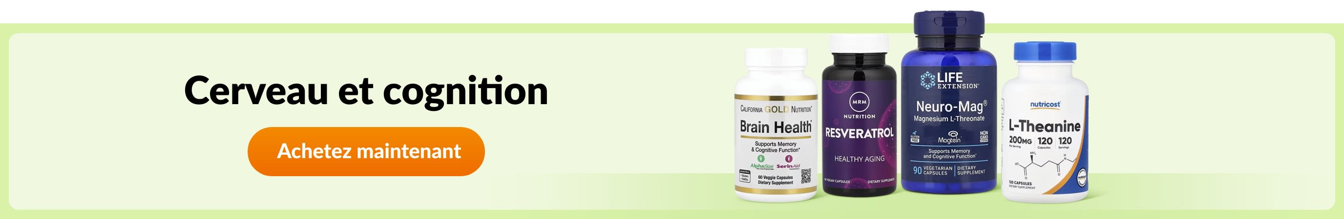 Cerveau et cognition