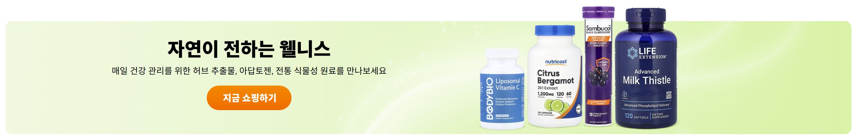 자연이 전하는 웰니스