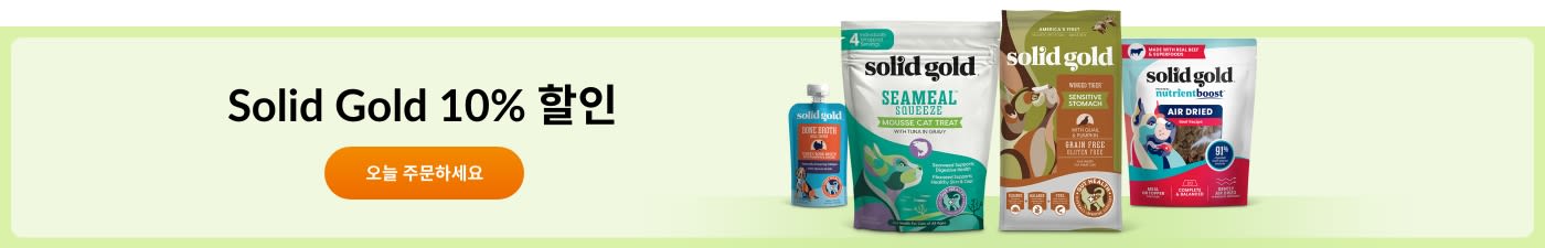 Solid Gold 10% 할인