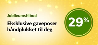 Banner for iHerbs 29-årsjubileum som viser gaveposer i begrenset opplag med velvære- og skjønnhetsprodukter med 29 % rabatt.