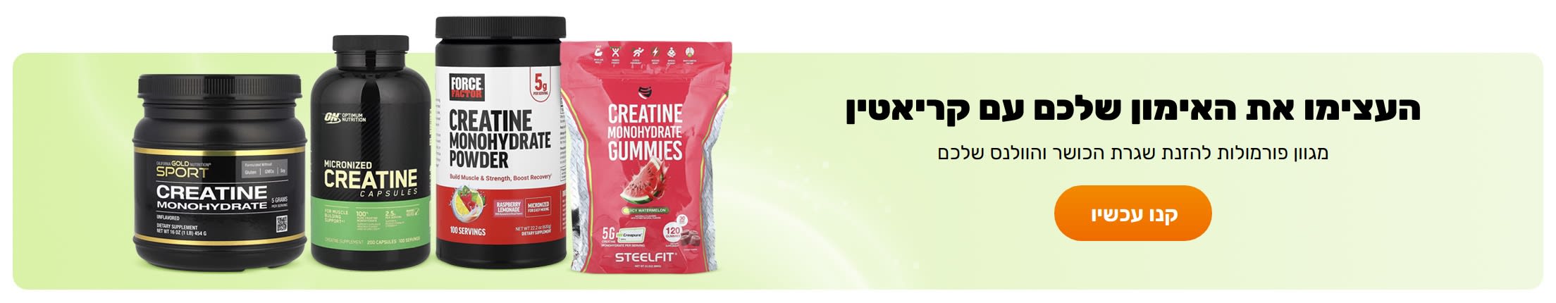 Power Your Training With Creatine