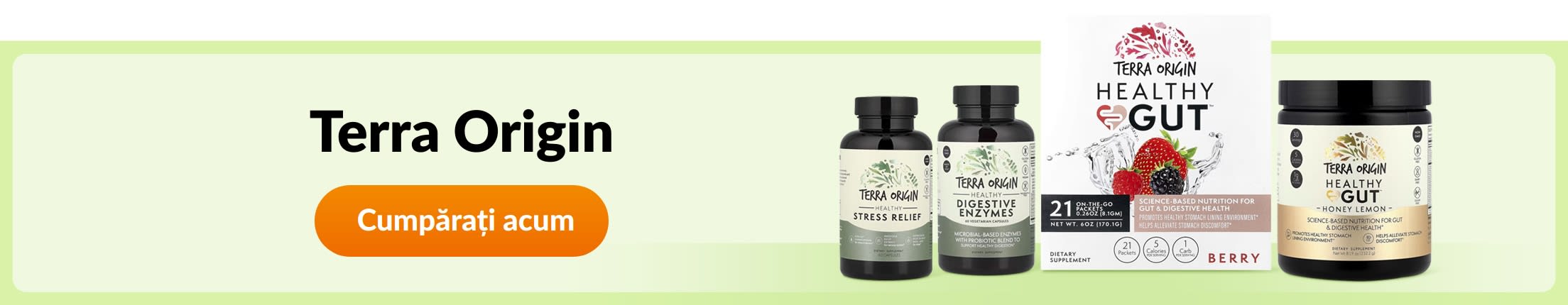 Terra Origin