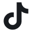 Tiktok share icon