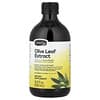Olive Leaf Extract, 16.9 fl oz ( 500 ml)
