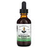 Echinacea Extract, Glycerine Base, 2 fl oz (59 ml)