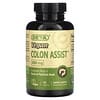 Vegan Colon Assist, 600 мг, 90 таблеток