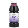 Dynamic Health, 블루베리 농축물, 473ml(16fl oz)