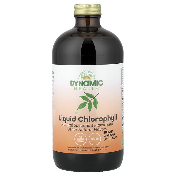 Dynamic Health, Liquid Chlorophyll, Natural Spearmint, 16 fl oz (473 ml) — product photo 1