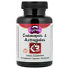 Codonopsis & Astragalus, 100 Vegetarian Capsules
